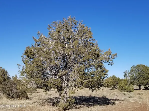 214 NE Qtr W, Ash Fork, AZ 86320