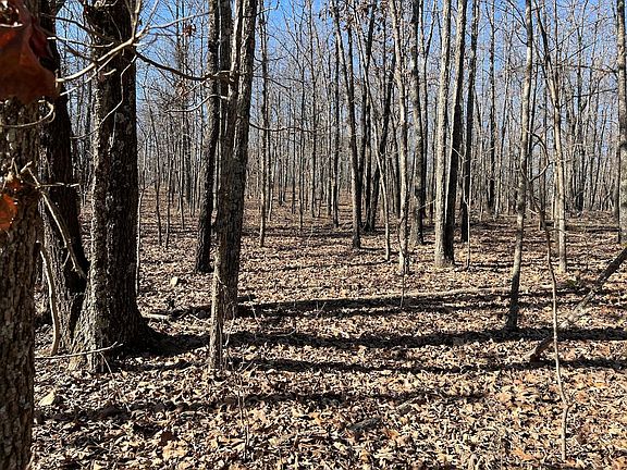 5th image of LOT 1 County Road 113