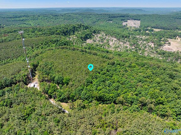 2nd image of 475 Summer House Mountain Rd