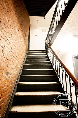 Rented by Nolita Group | media 20