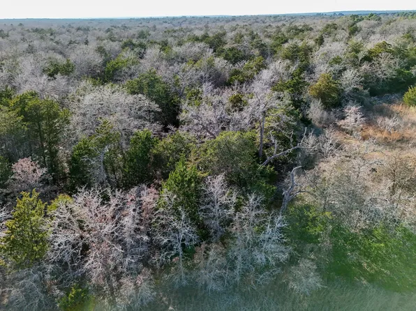 15 Antioch Rd, Paige, TX 78659