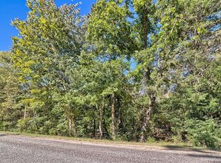 0 Walt Rauch Rd, Chapin, SC 29036