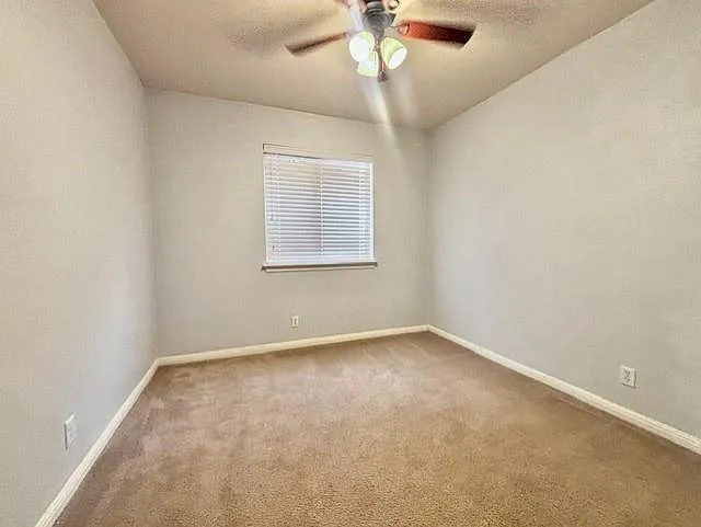 307 Green Slope Ln — Photo 15