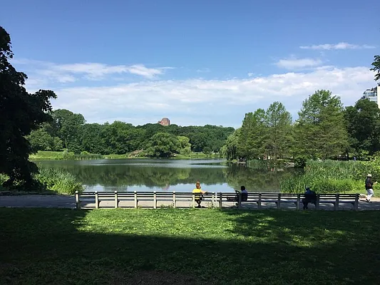 Rented by Platinum Properties | media 14