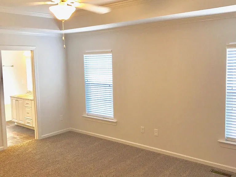 918 Williford Run Dr — Photo 12