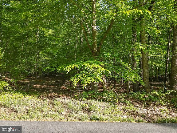 3rd image of 13314 Forest Dr