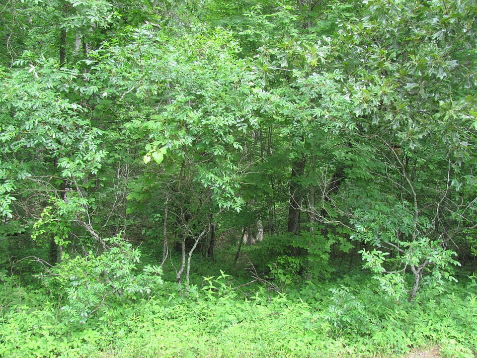 1st image of 128 Fairhaven Dr