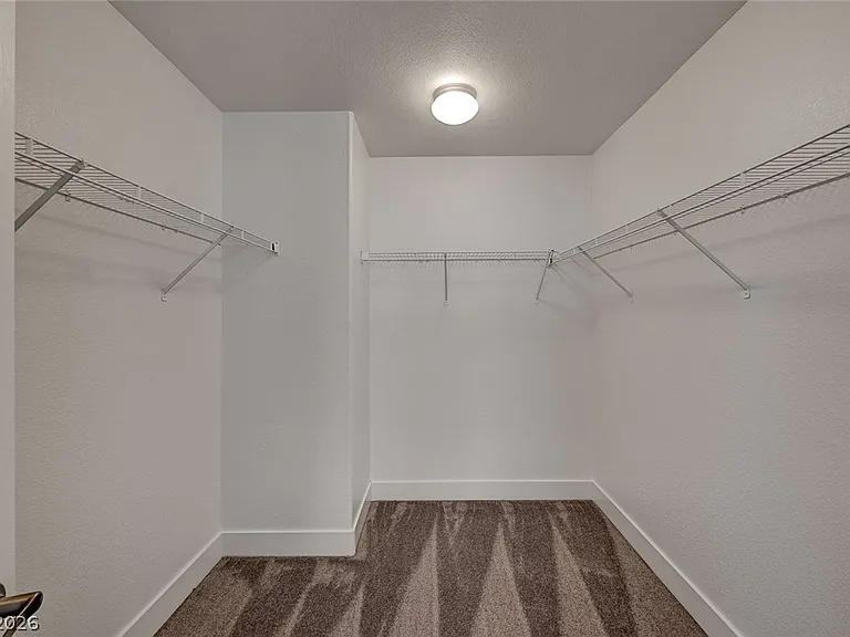 9226 Horseshoe Basin Ave #0 — Photo 11