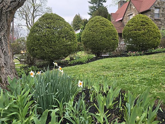 Front yard