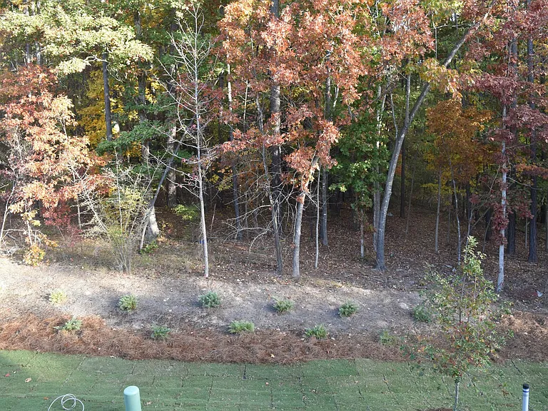1509 Scholar Dr — Photo 22