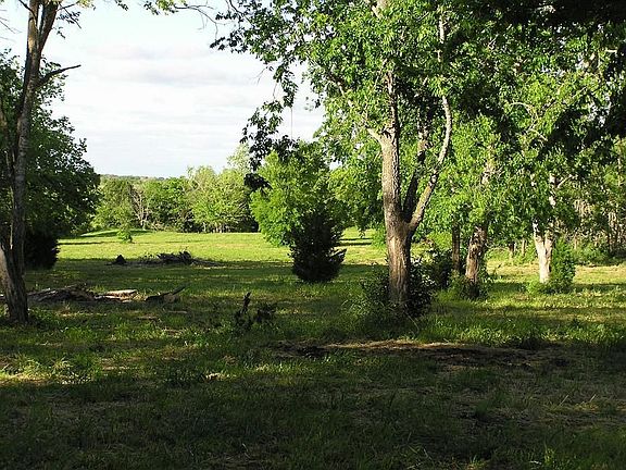 Looking out the back!