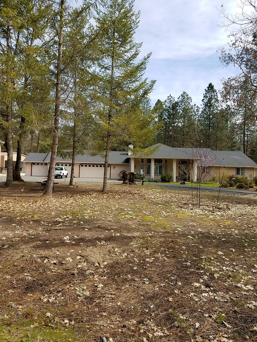1323 Wildflower Dr photo 1