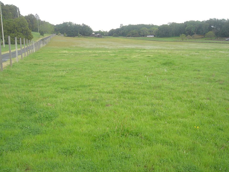 View from Road