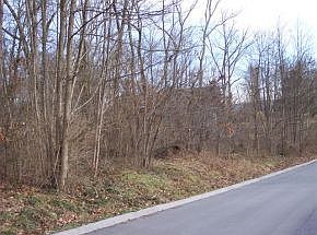 4th image of 0 Saint Charles Pl