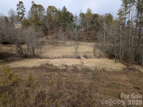 36 Country Cove Ct #6, Leicester, NC 28748