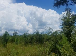 577 SW Daisy Rd, Lake City, FL 32024