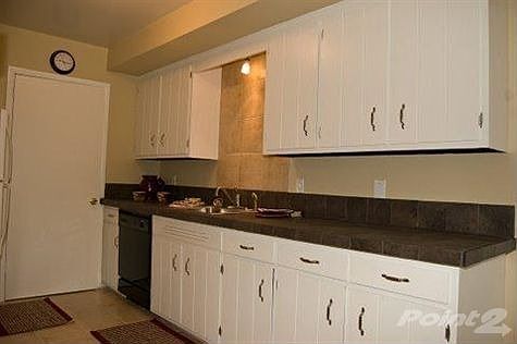 You will love cooking in the remodeled kitchen complete with refrigerator, dishwasher, new stove, ne