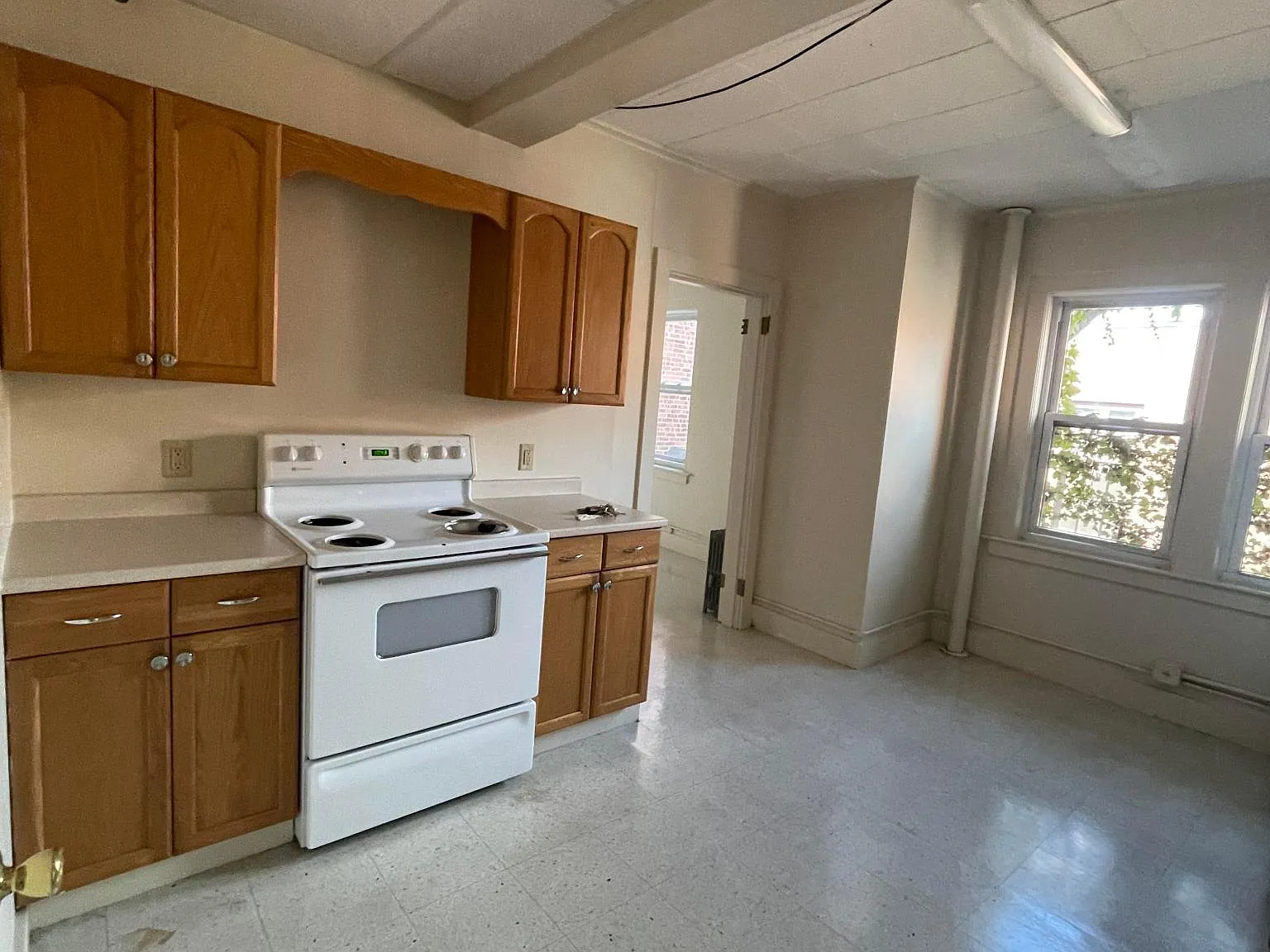 1 bed, $1,100 — Photo 2