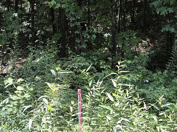 2nd image of 0 Chopped Oak Rd