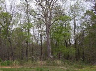 802 Carpenter Way, Auburn, AL 36830