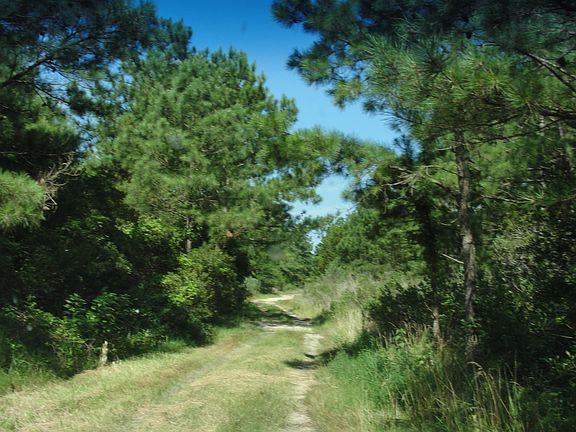 acces to hunting property