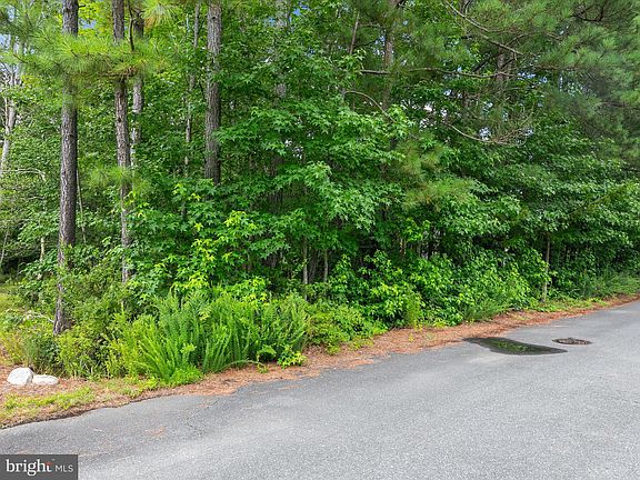 4th image of 35961 Collins Ln