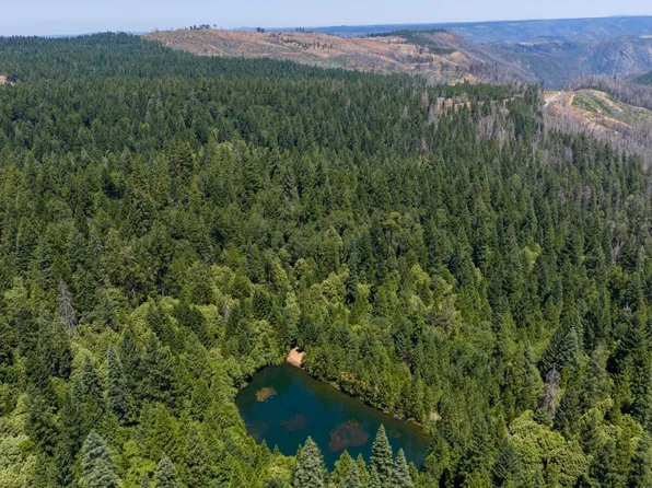 10075 White Fir Rd, Georgetown, CA 95634
