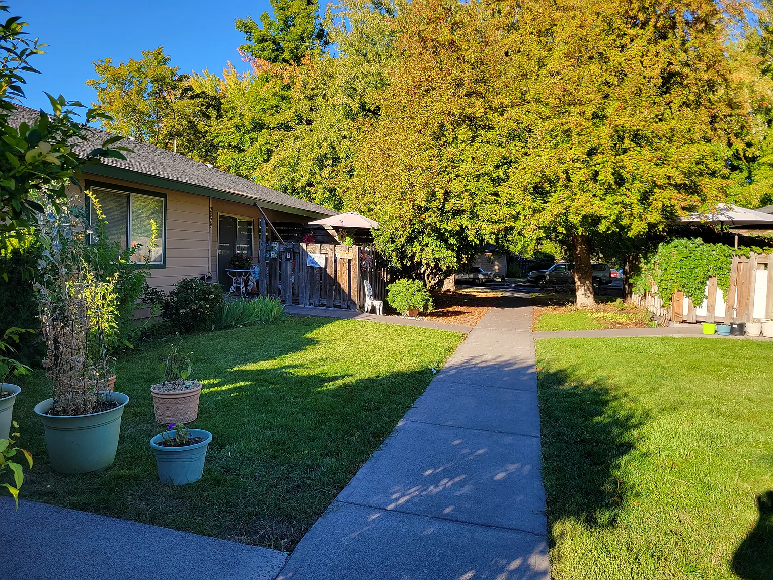 Kingswood Apartments — Photo 2