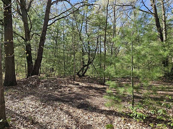 4th image of 11299 Podunk Ave NE