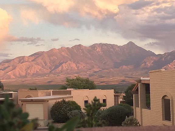 Looking over the back fence