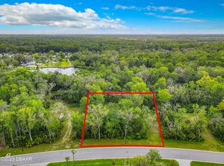 2311 Legacy Ln, New Smyrna Beach, FL 32168