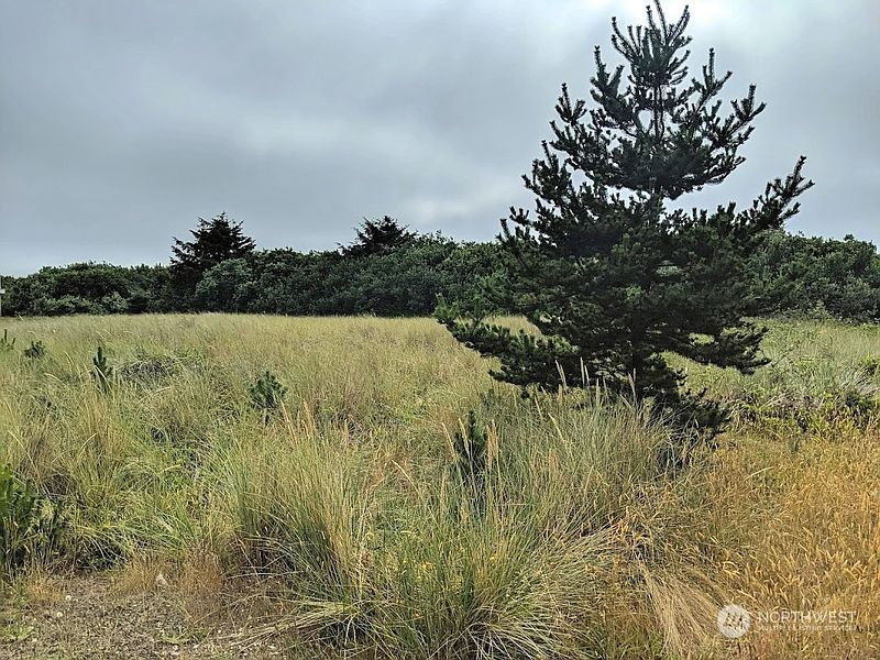 2nd image of 863 Ocean Shores Boulevard NW
