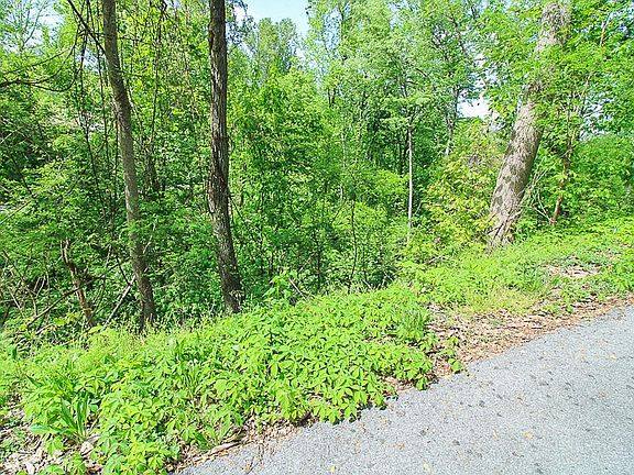 5th image of 579 Crooked Ridge Rd Lot 579
