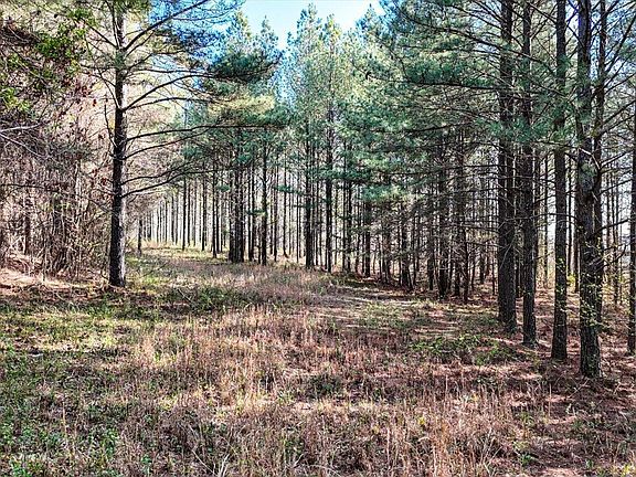 4th image of 1350 Split Rail Way