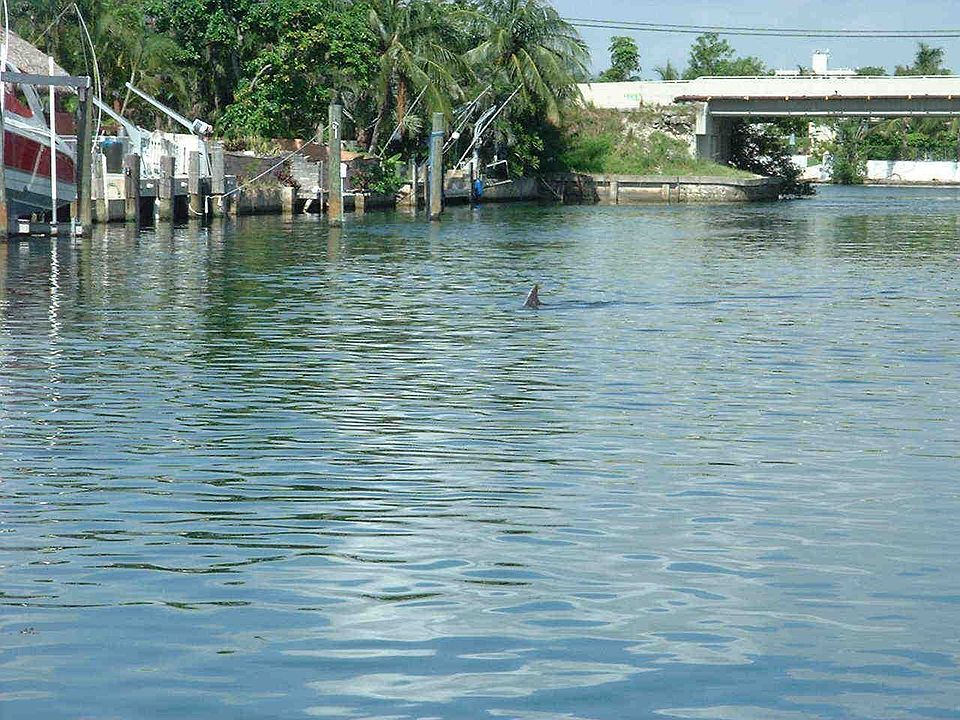 Canal view west