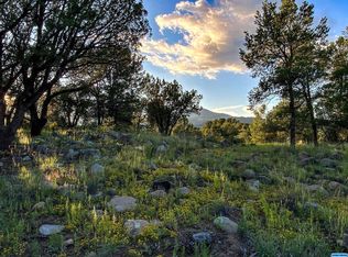 37 Black Dog Rd, Silver City, NM 88022