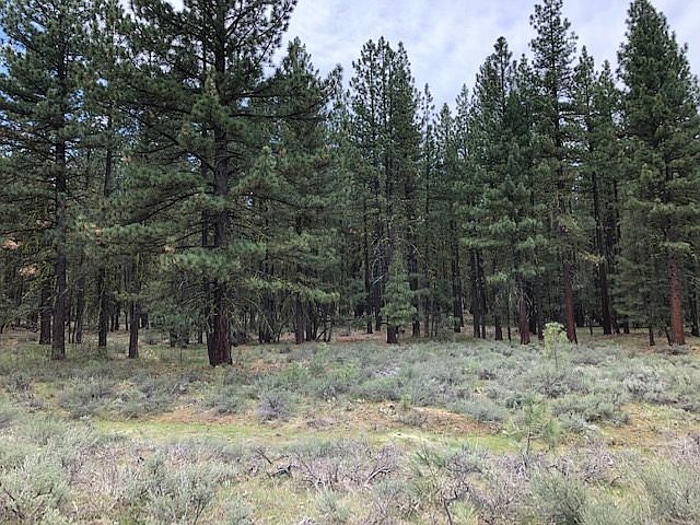 1st image of 6063 N Iron Horse Dr