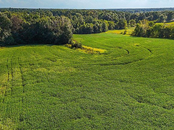 5th image of 2695 County Rd