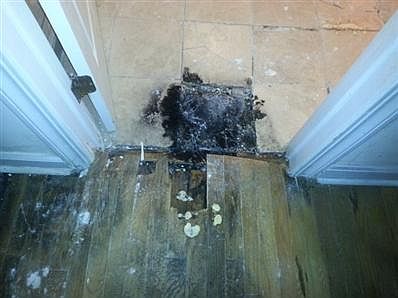 3rd image of 2511 W Ardmore Ave #G