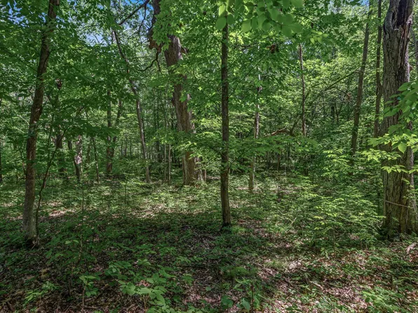 25 Itasca Ave, Forest Lake, MN 55025