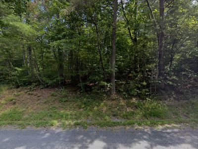 0 Roaring Forks Ln, Ellijay, GA, 30540