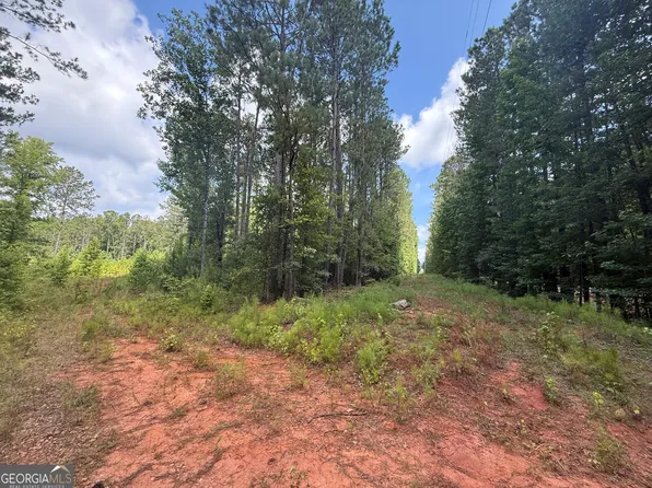 14522 State Highway 87, Forsyth, GA 31029