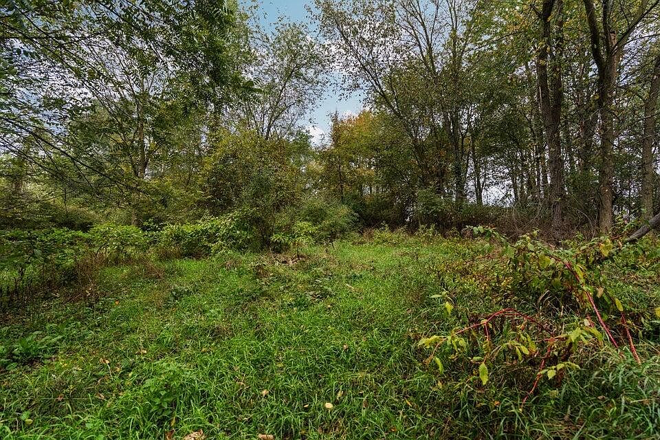 Lot 32&37 N Ann St, photo 4