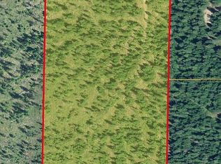 196 Lower Muskrat Spur, Sagle, ID 83860