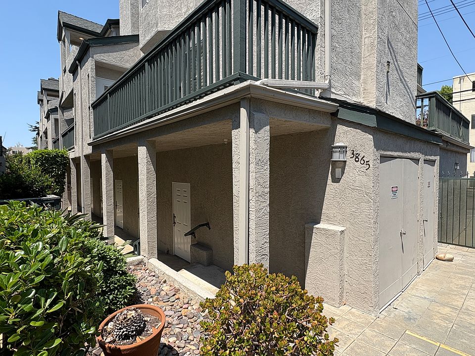 1st image of 3865 Albatross St APT 10