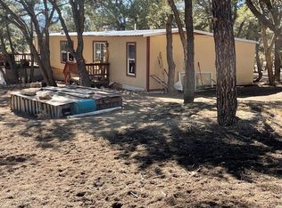 539 Blazing Saddle Trl, Cotopaxi, CO 81223
