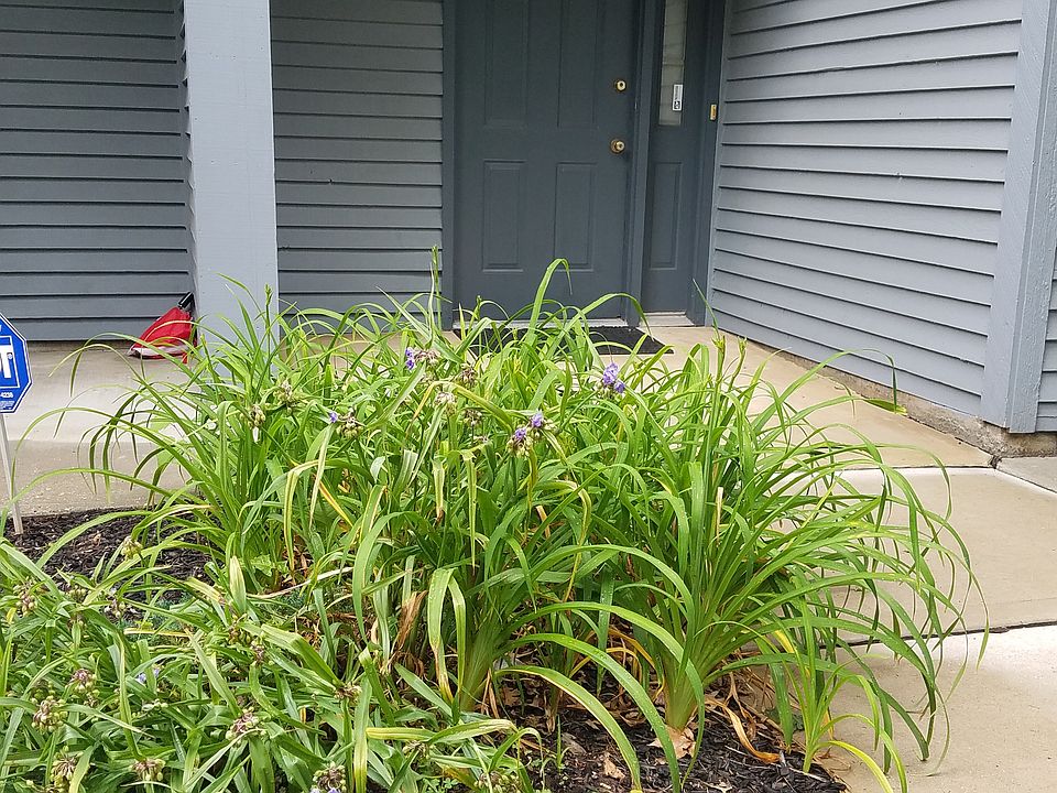 Main Entrance to unit. (No more climbiing stairs)