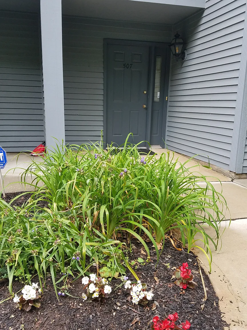 507 Woodhaven Dr photo 1