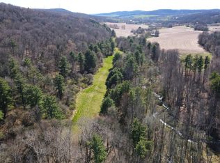 7030 Pfitzenmaier Rd, Hornell, NY 14843