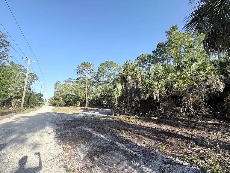 1520 Blue Sage Dr — Photo 19
